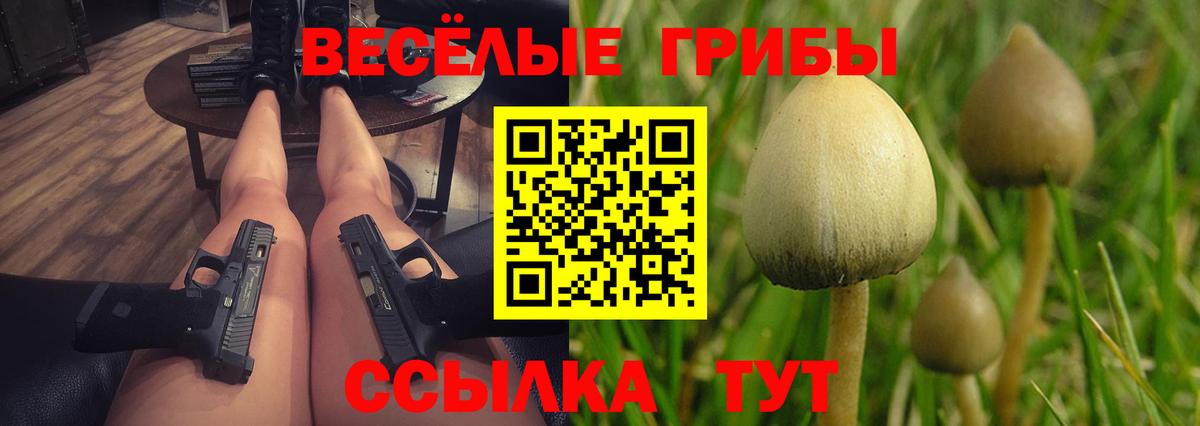 Псилоцибиновые грибы MAGIC MUSHROOMS  Вход с VPN  Муравленко  Галлюциногенные грибы Magic Shrooms 