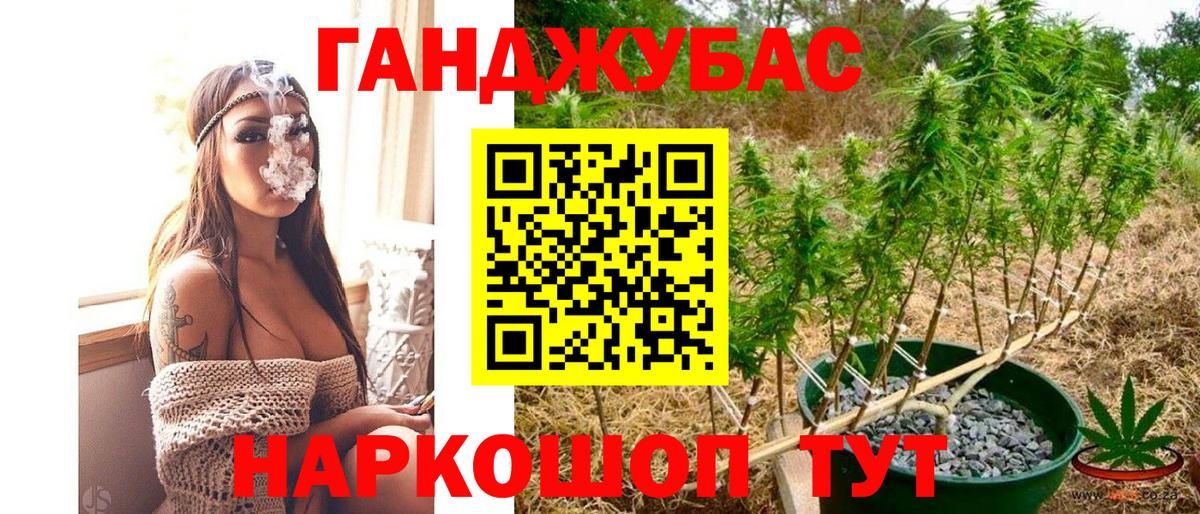 Конопля семена  Конопля OG Kush  Вход с VPN  Муравленко  Канабис план 